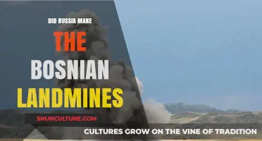 Russia's Role in Bosnian Landmines: Uncovering the Hidden Truth