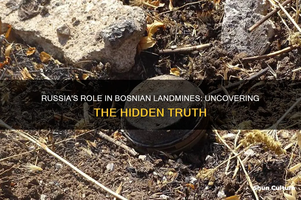 did russia make the bosnian landmines