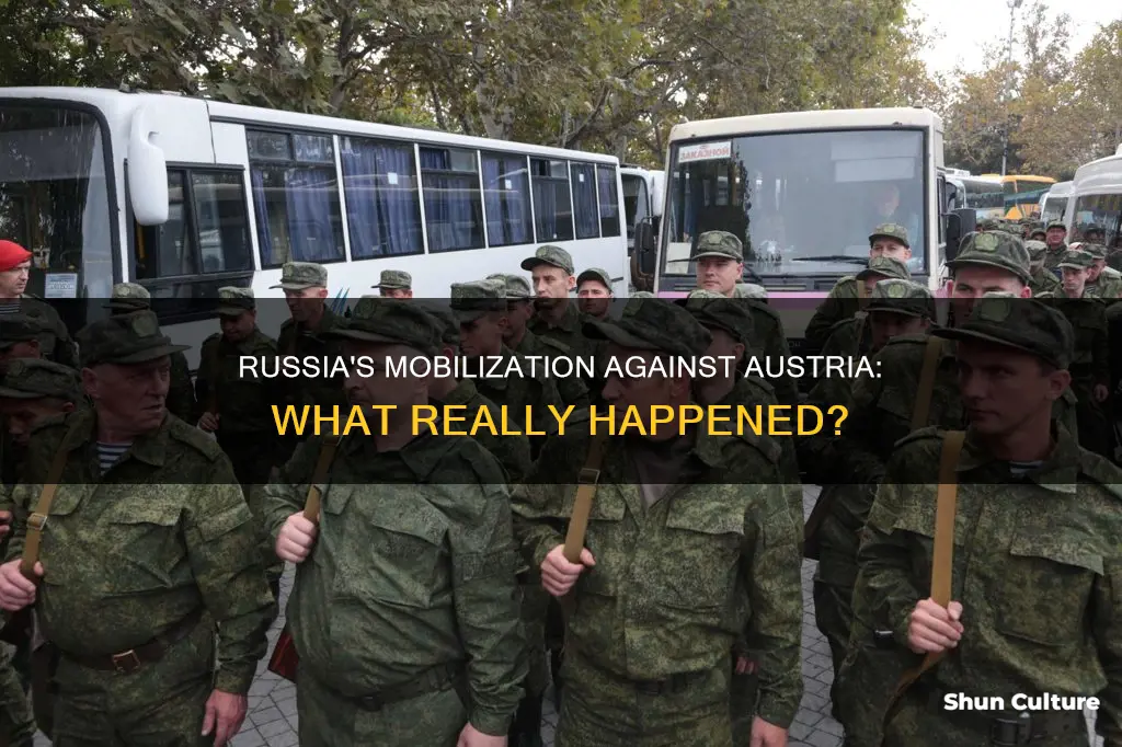 did russia mobilize against austria