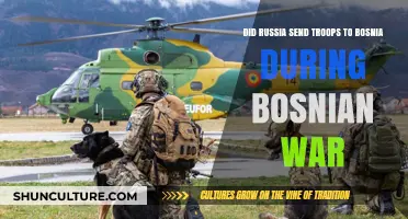 Russia's Role in the Bosnian War: Troop Deployment Explored