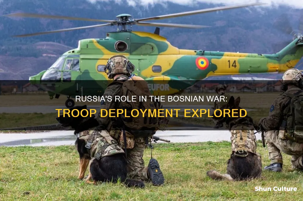 did russia send troops to bosnia during bosnian war
