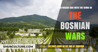 Russia's Role in the Bosnian Wars: Siding with the Serbs?