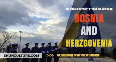Russia's Role in Bosnia's Ethnic Cleansing: Uncovering Historical Allegations