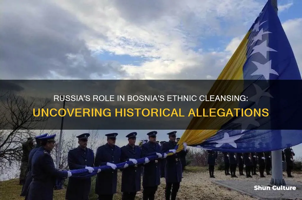 did russia support ethnic cleansing in bosnia and herzgovenia