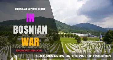 Russia's Role in Backing Serbia During the Bosnian War: Unveiled