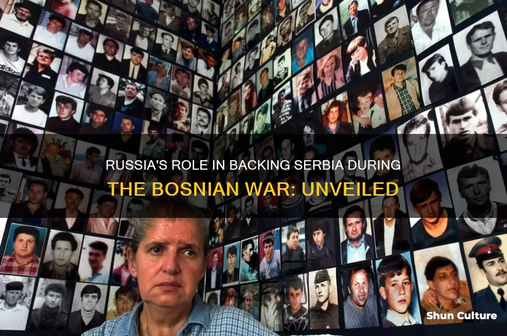 did russia support serbia in bosnian war