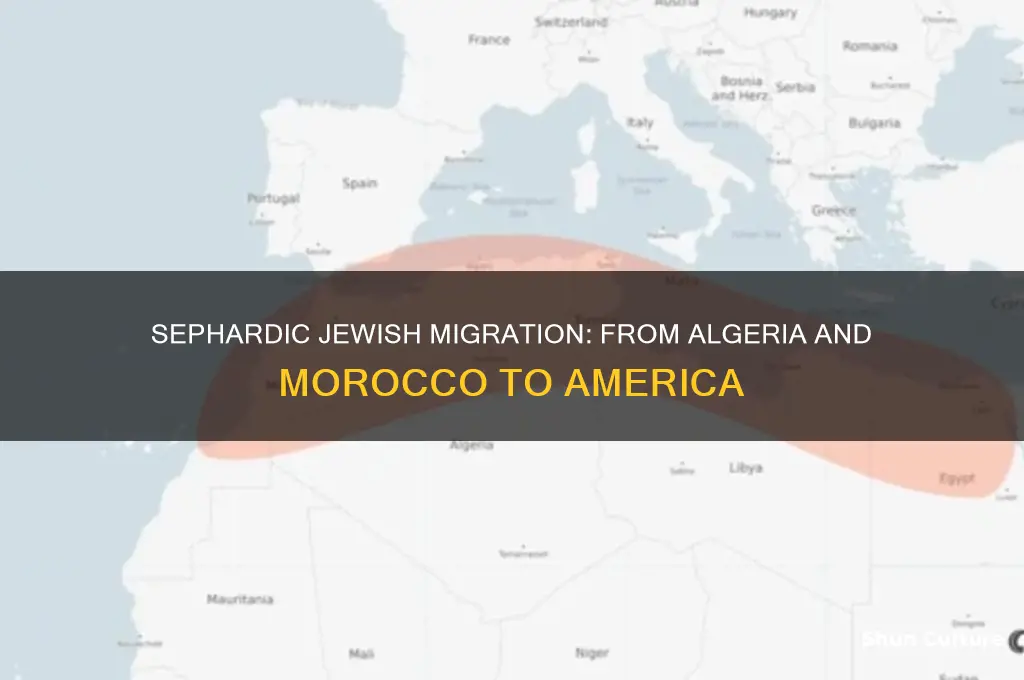 did sephardic jews migrate from algeria and morrocco to america