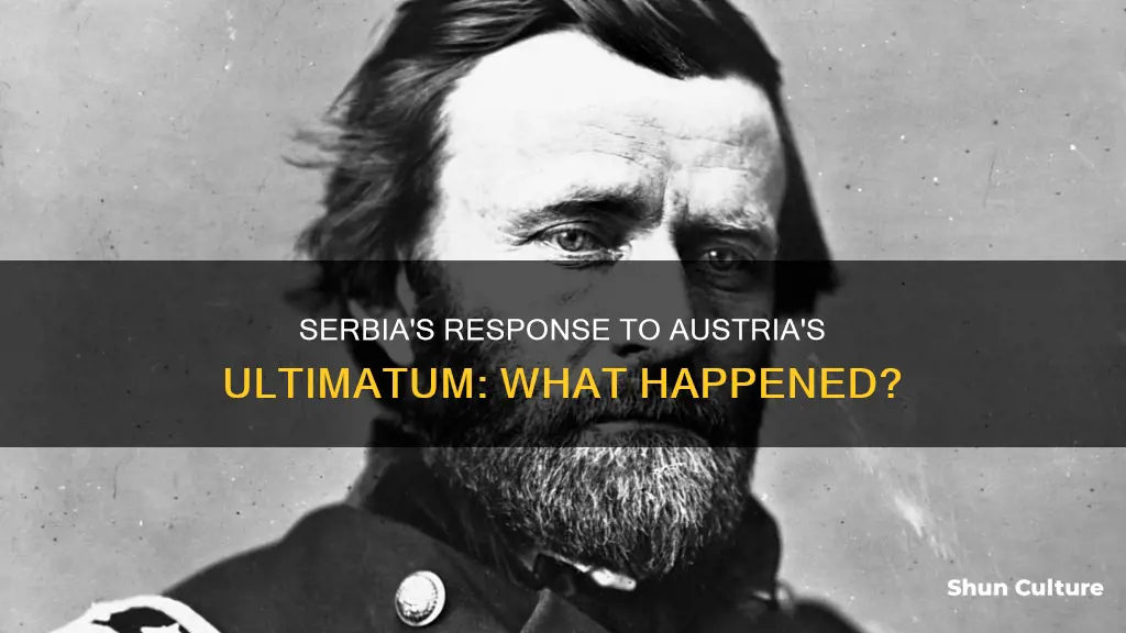 did serbia accept austria