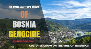 Serbia's Compliance with Bosnia Genocide Rulings: A Critical Analysis