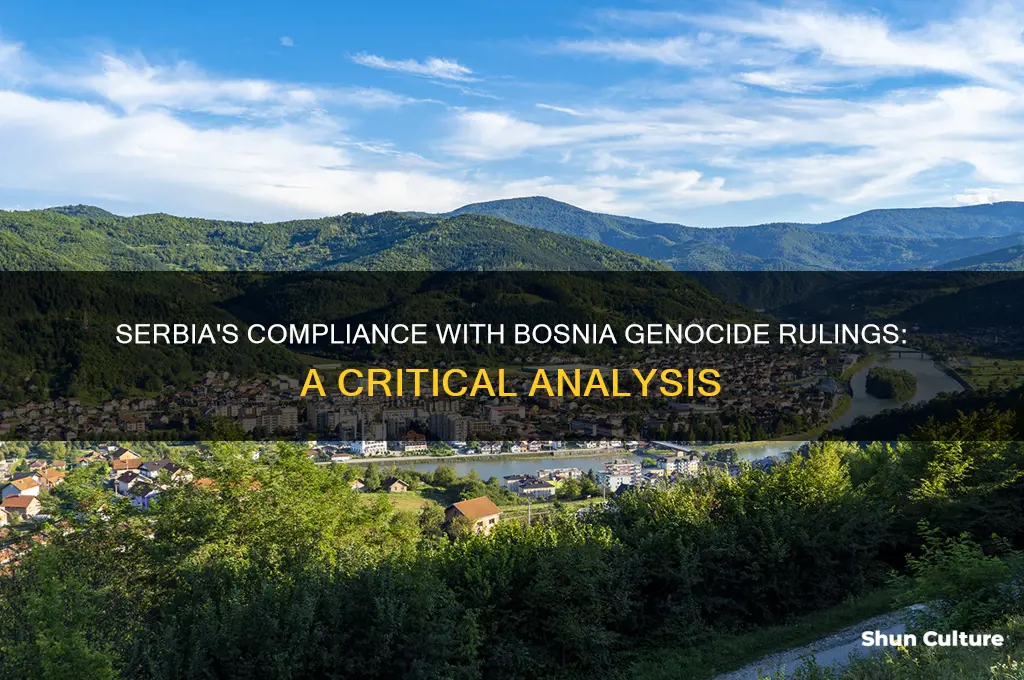 did serbia comply with rulings of bosnia genocide