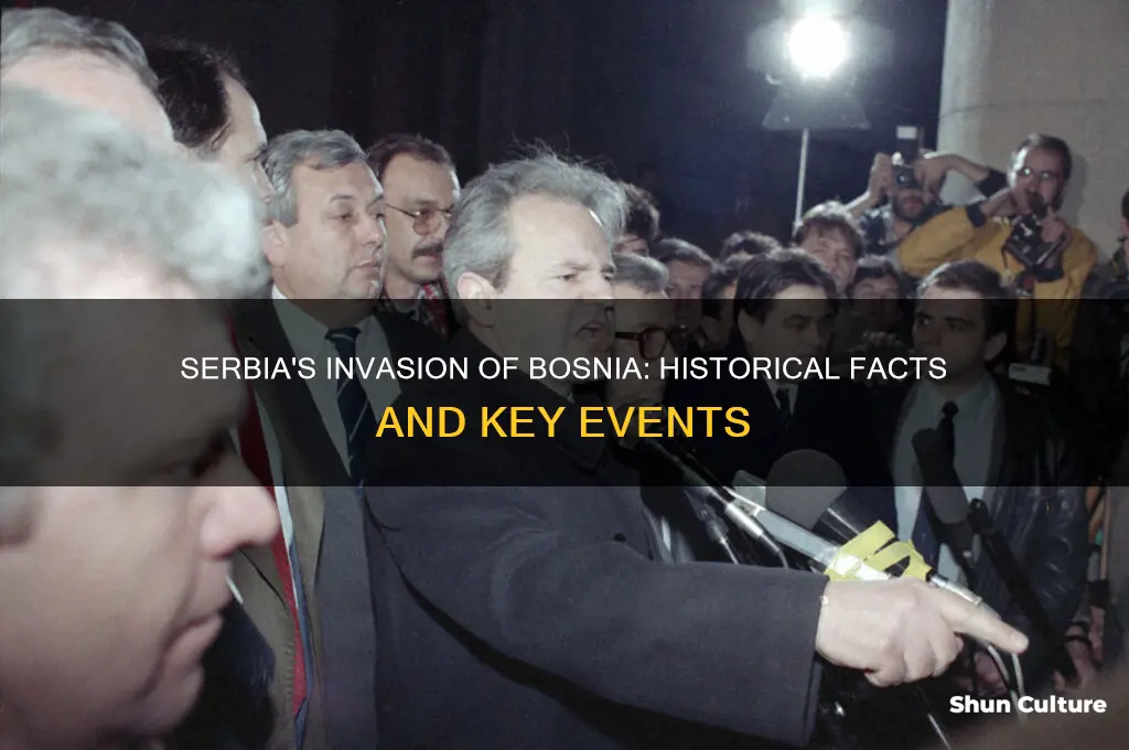 did serbia invade bosnia
