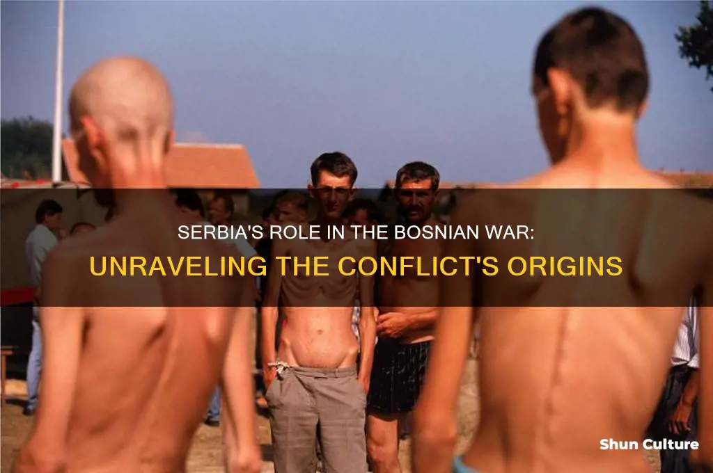 did serbia start the bosnian war