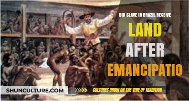 Brazil's Emancipation: Did Freed Slaves Receive Land After Abolition?