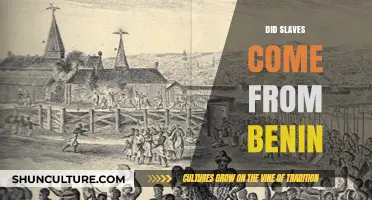 Tracing the Roots: Did Slaves Come from Benin?