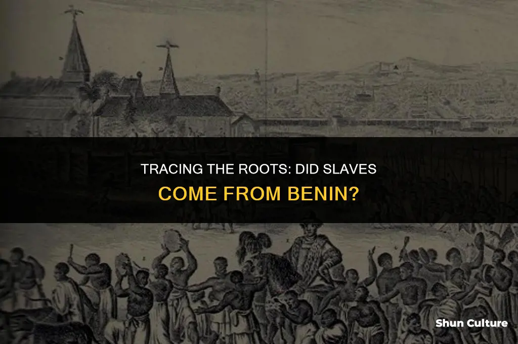 did slaves come from benin