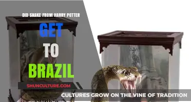Did Harry Potter's Snake, Nagini, Slither to Brazil?