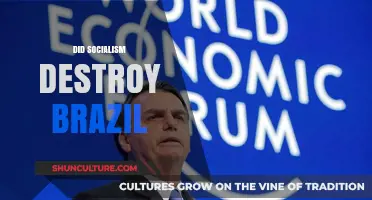 Did Socialism Destroy Brazil? Analyzing Economic Policies and Their Impact