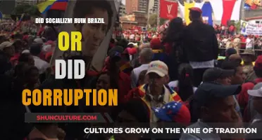Socialism vs. Corruption: Unraveling Brazil's Economic and Political Struggles