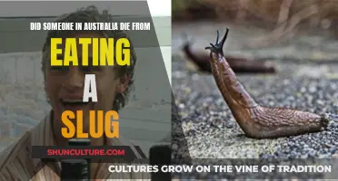 Slug Death in Australia: Fact or Fiction?