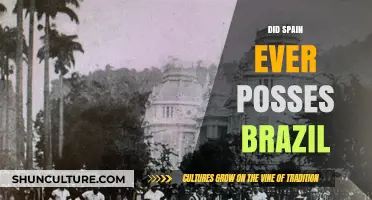 Spain's Historical Ties to Brazil: Fact or Fiction?
