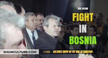 Spain's Role in the Bosnian War: A Historical Overview