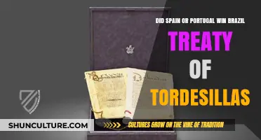 Brazil's Fate: Treaty of Tordesillas Victory for Spain or Portugal?