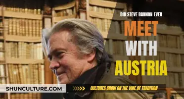 Steve Bannon's Austrian Encounter: What We Know