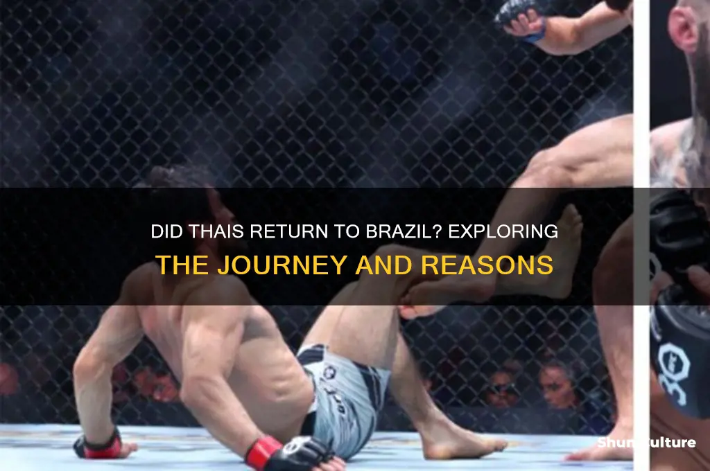 did thais go back to brazil