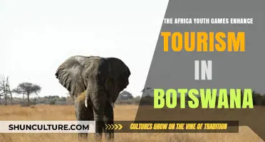 Africa Youth Games: Boosting Botswana's Tourism Sector?