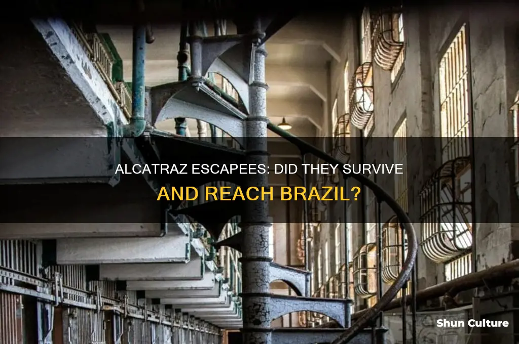 did the alcatraz escapees made it to brazil