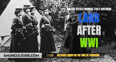 Allies' Promise to Italy: Austrian Land Post-WWI