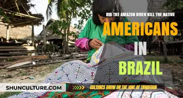Amazon River's Role in Brazil's Native American Decline: Unveiling the Truth