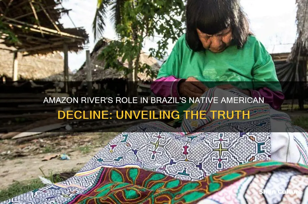 did the amazon river kill the native americans in brazil