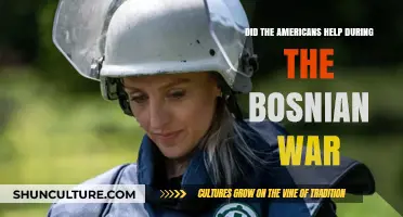 American Role in the Bosnian War: Aid or Inaction?