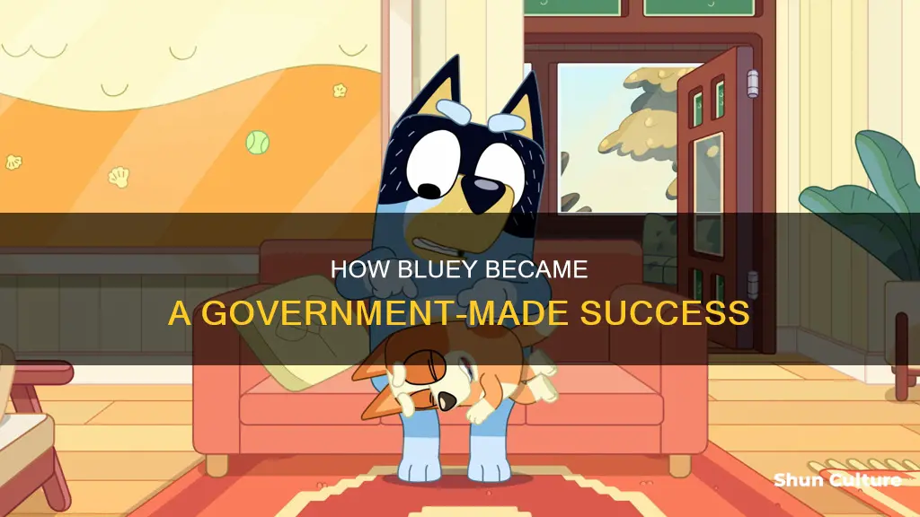 did the australian government make bluey