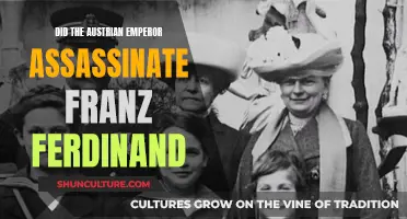 Who Really Killed Franz Ferdinand? Austrian Emperor's Motives