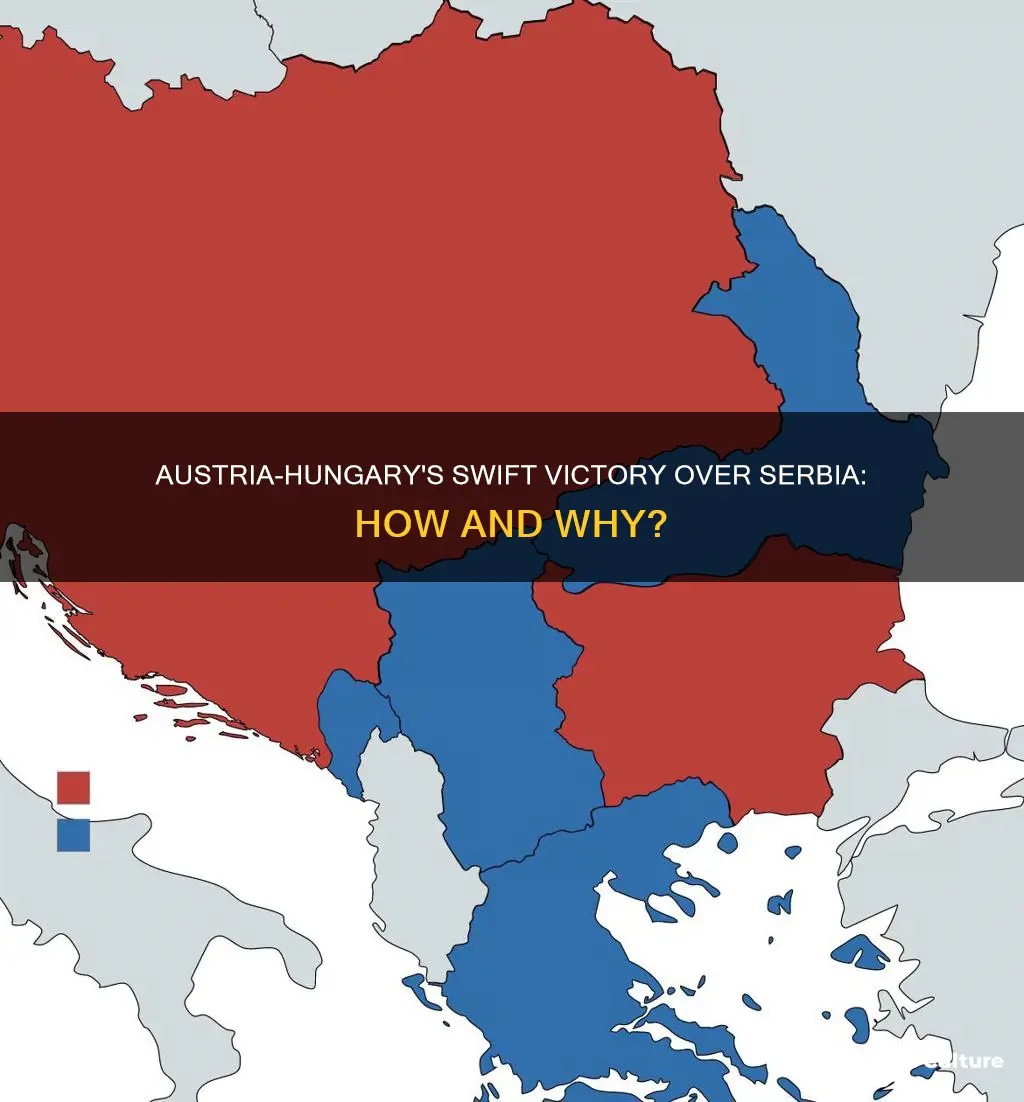 did the austrian empire beat serbia in ww1