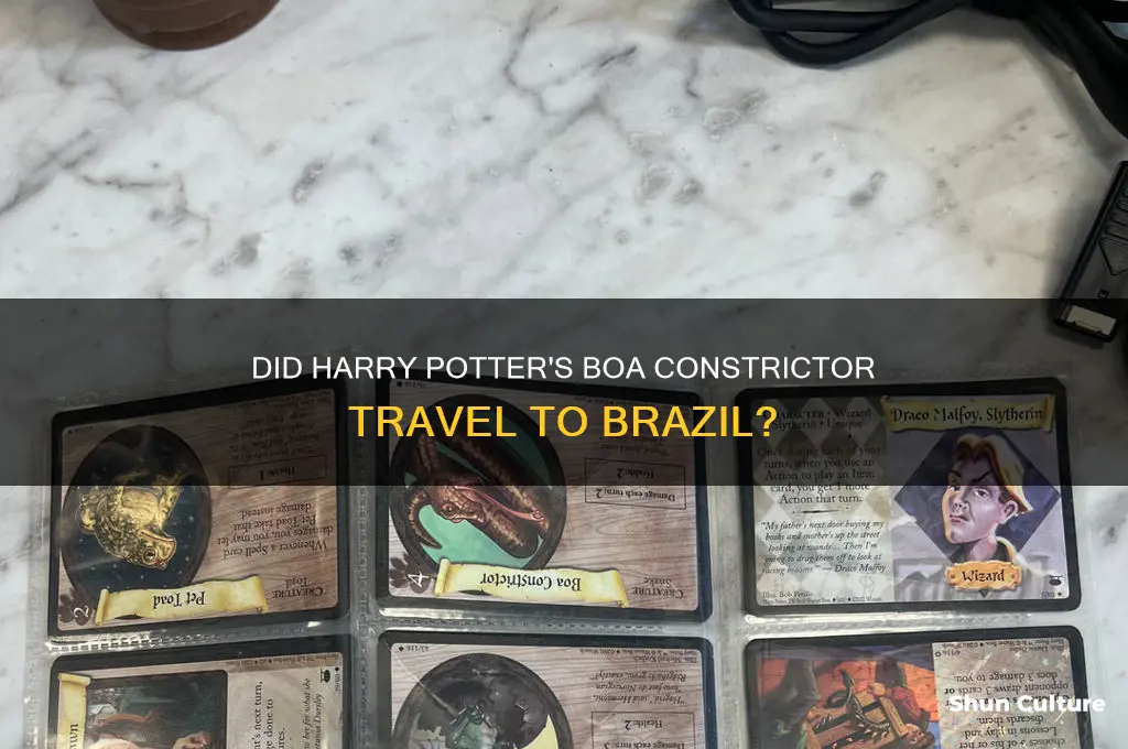 did the boa go to brazil from harry potter