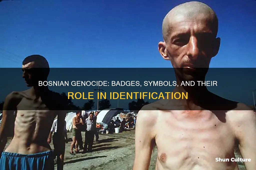 did the bosnian genocide have badges or symbols