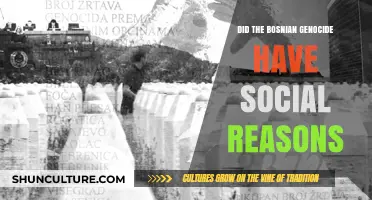 The Bosnian Genocide: Unraveling the Social Underpinnings of Ethnic Cleansing