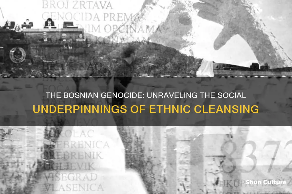 did the bosnian genocide have social reasons