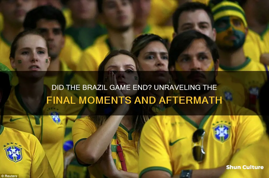 did the brazil game end