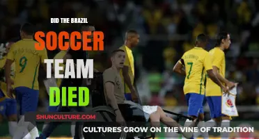 The Tragic Fate of Brazil's Soccer Team: Fact or Fiction?