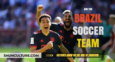 Did the Brazil Soccer Team Dominate the World Cup Era?