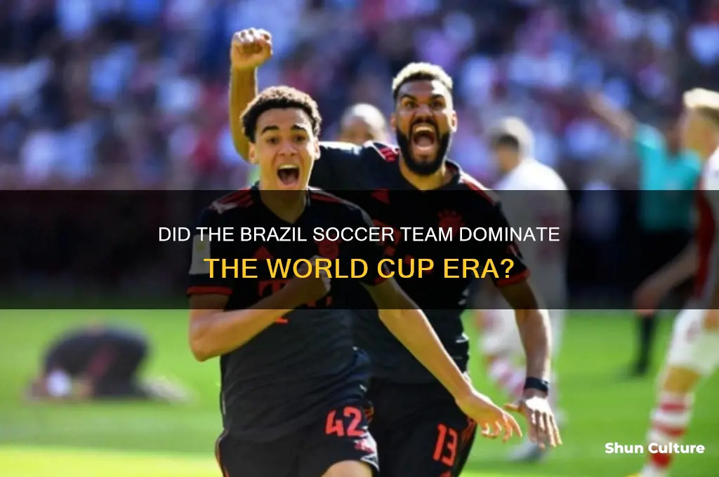 did the brazil soccer team