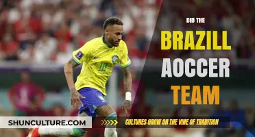 Did Brazil's Soccer Team Dominate the 2022 World Cup?