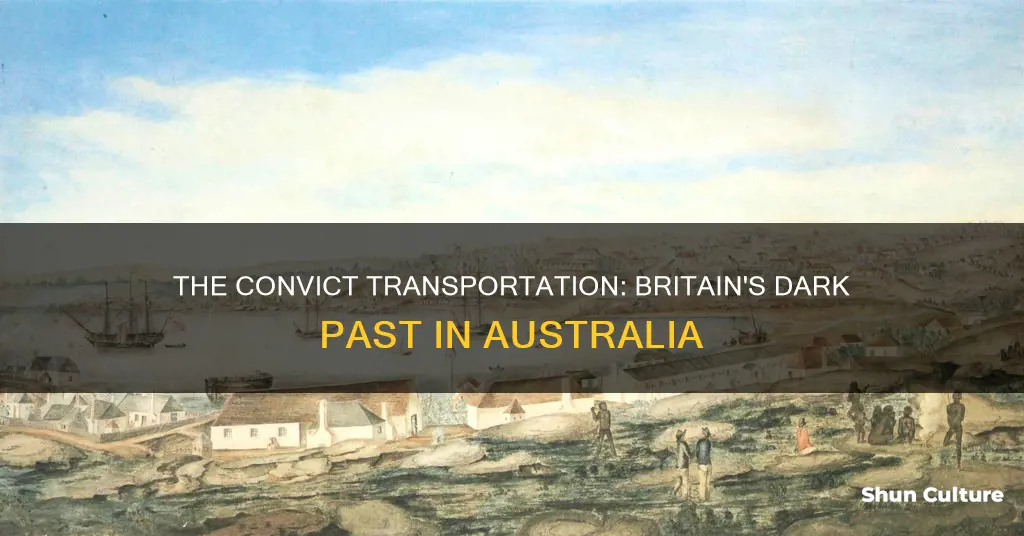 did the british ship criminals to australia