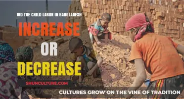 Child Labor in Bangladesh: Trends and Recent Developments Explored
