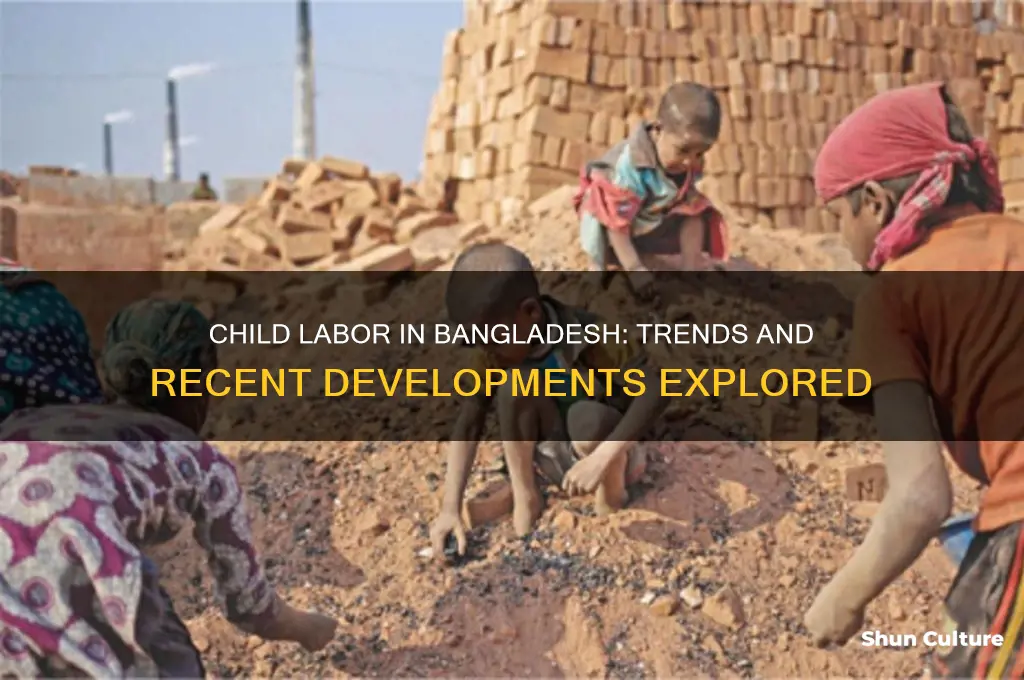 did the child labor in bangladesh increase or decrease