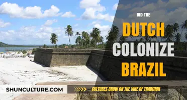 Dutch Colonization of Brazil: Unraveling the Historical Presence and Impact